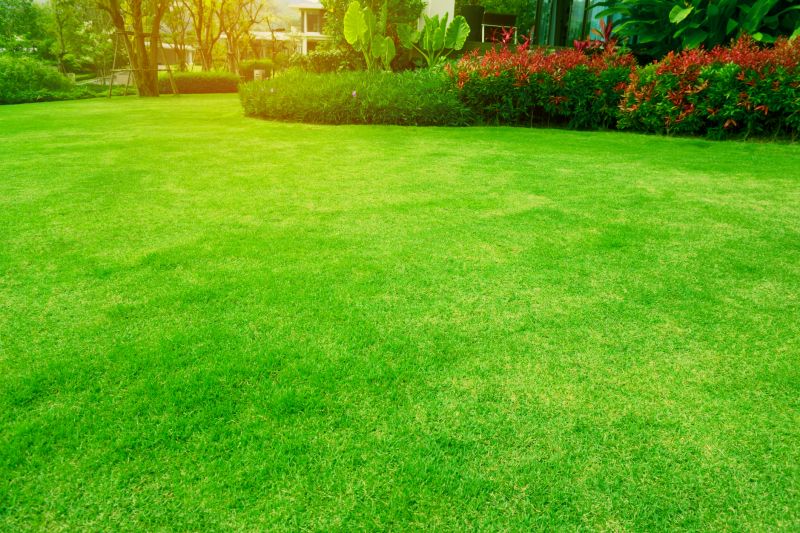 Garden Maintenance