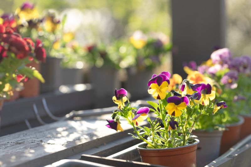 Flower Planting Service in Ventura County, CA