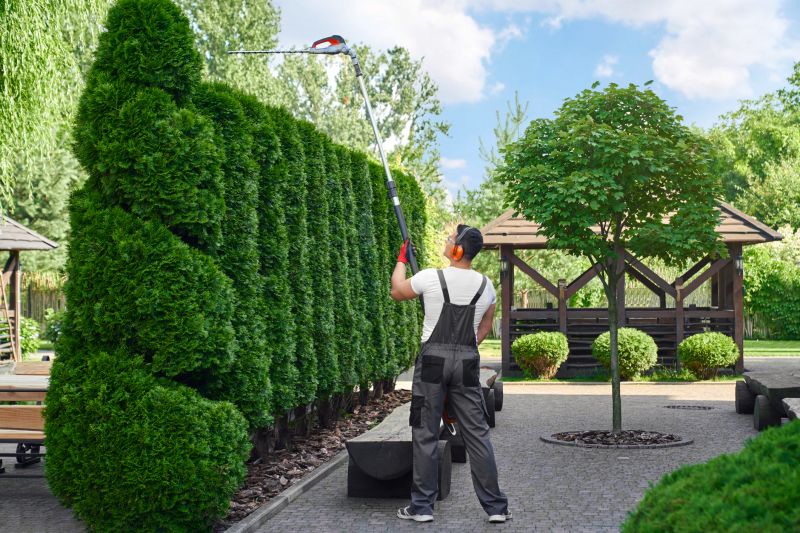 How Professional Landscaping Improves Curb Appeal