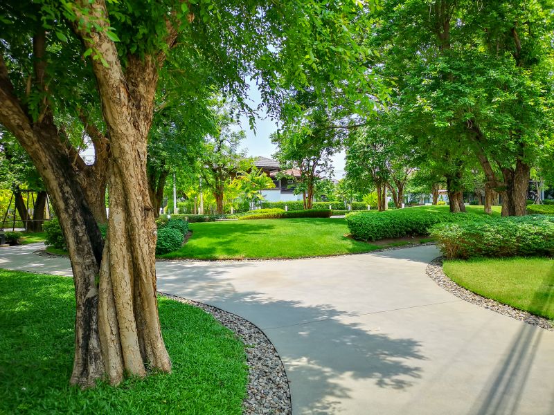 Tree Curbing Installation in Citrus County, FL